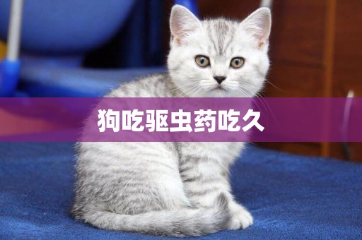 狗吃驅蟲藥吃久