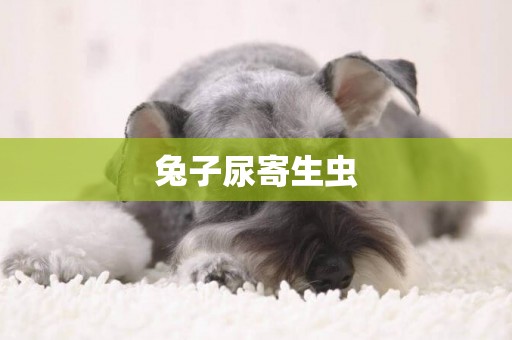 兔子尿寄生蟲