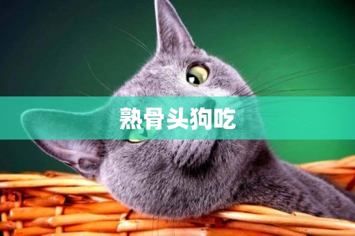 熟骨頭狗吃