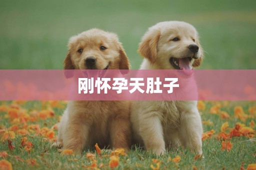 剛懷孕天肚子