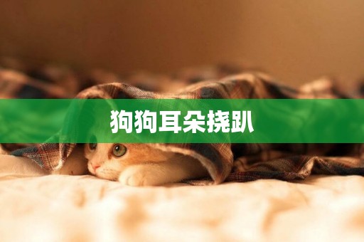 狗狗耳朵撓趴
