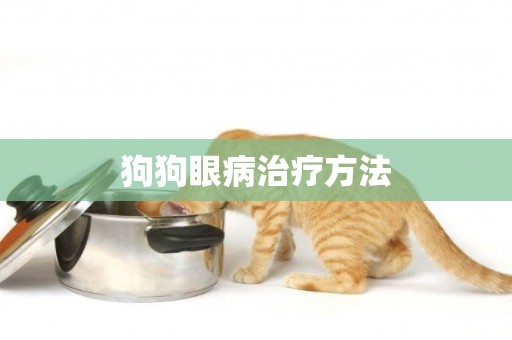 狗狗眼病治療方法