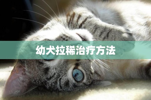 幼犬拉稀治療方法