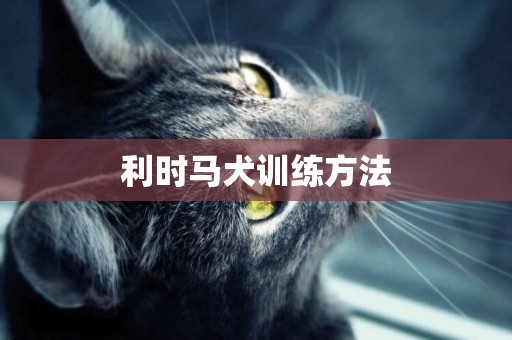 利時馬犬訓練方法
