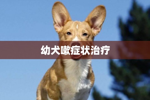 幼犬嗽癥狀治療