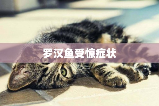 羅漢魚受驚癥狀