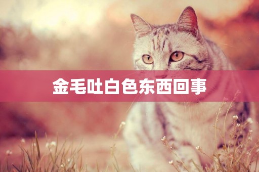 金毛吐白色東西回事