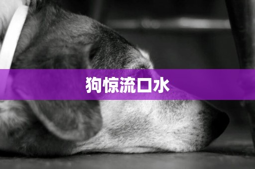 狗驚流口水