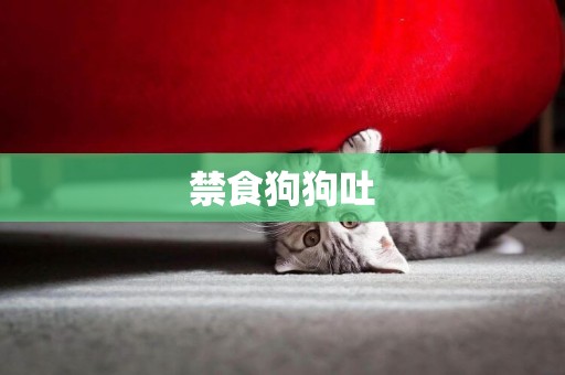 禁食狗狗吐