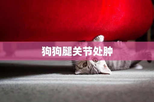 狗狗腿關節處腫