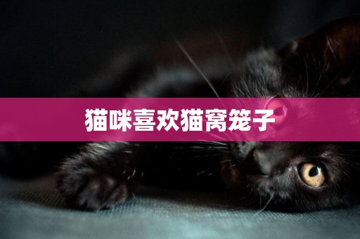 貓咪喜歡貓窩籠子