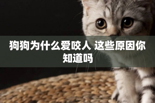 狗狗為什么愛咬人 這些原因你知道嗎