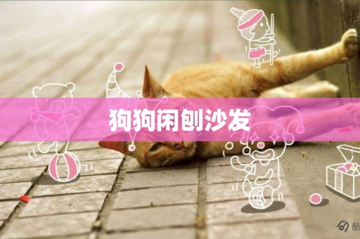 狗狗閑刨沙發