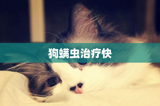 狗螨蟲治療快