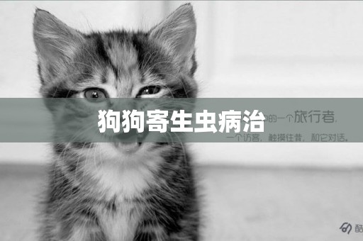 狗狗寄生蟲病治