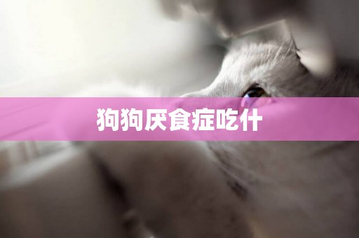 狗狗厭食癥吃什