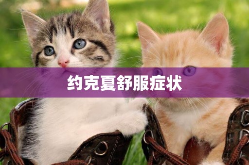 約克夏舒服癥狀