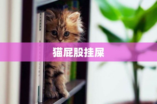 貓屁股掛屎