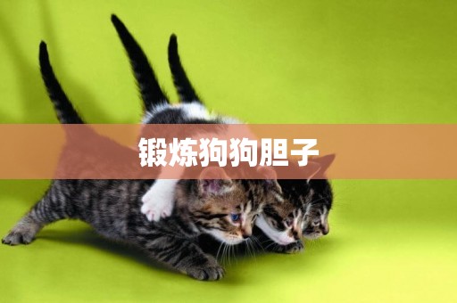 鍛煉狗狗膽子