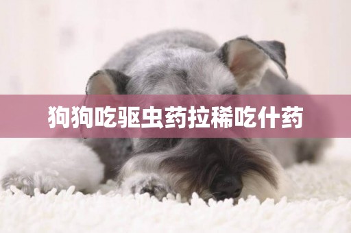 狗狗吃驅蟲藥拉稀吃什藥