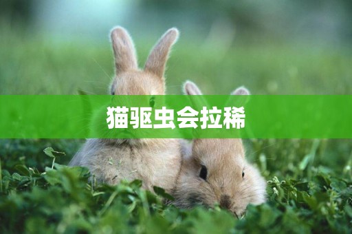 貓驅蟲會拉稀