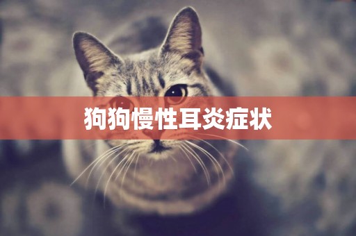 狗狗慢性耳炎癥狀
