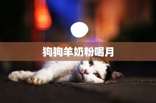狗狗羊奶粉喝月