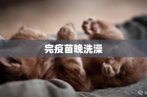 完疫苗晚洗澡