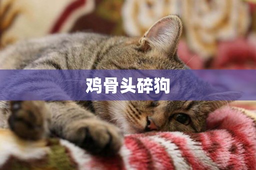 雞骨頭碎狗