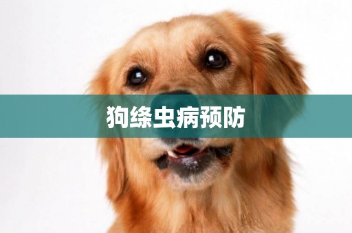 狗絳蟲病預防