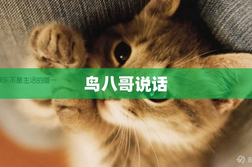 鳥八哥說話