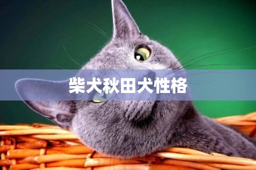 柴犬秋田犬性格