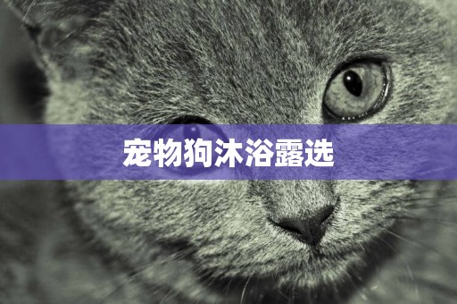 寵物狗沐浴露選