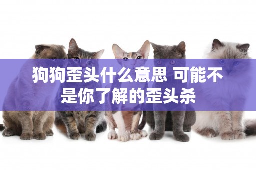 狗狗歪頭什么意思 可能不是你了解的歪頭殺