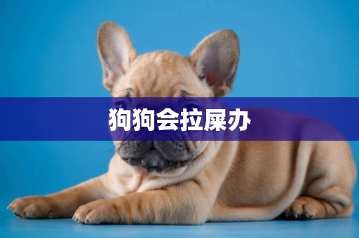 狗狗會拉屎辦