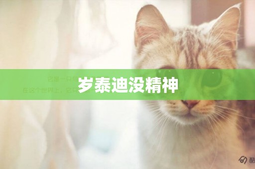 歲泰迪沒精神