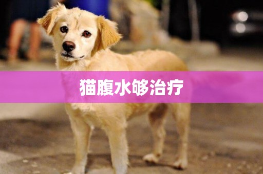 貓腹水夠治療