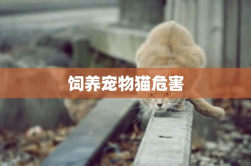 飼養寵物貓危害