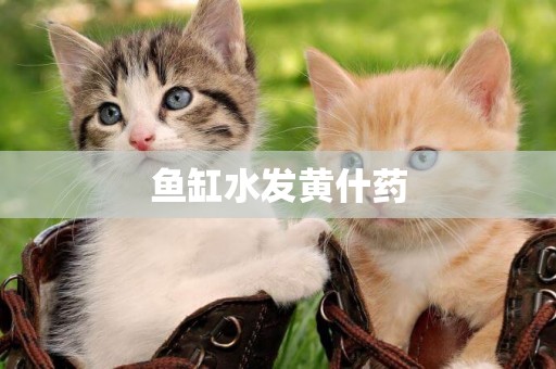 魚缸水發黃什藥
