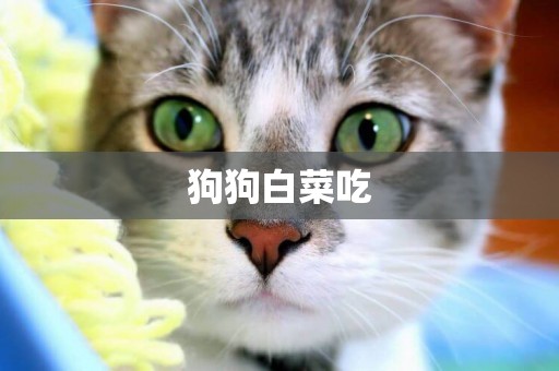 狗狗白菜吃