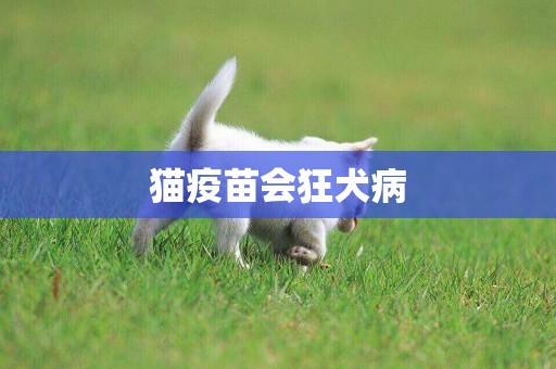 貓疫苗會狂犬病