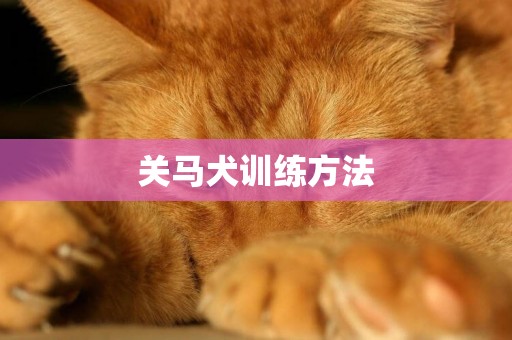 關馬犬訓練方法