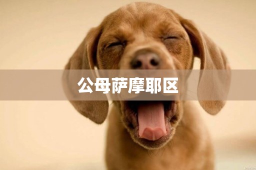 公母薩摩耶區