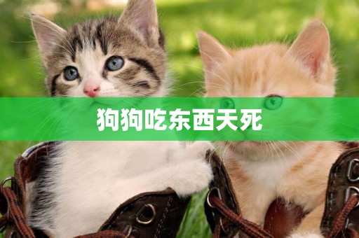 狗狗吃東西天死