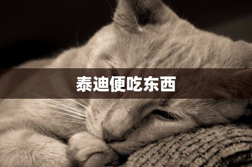 泰迪便吃東西