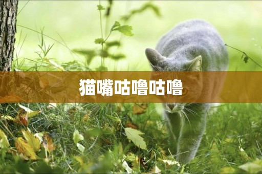 貓嘴咕嚕咕嚕