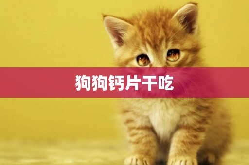 狗狗鈣片干吃