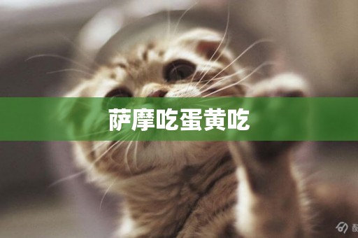 薩摩吃蛋黃吃