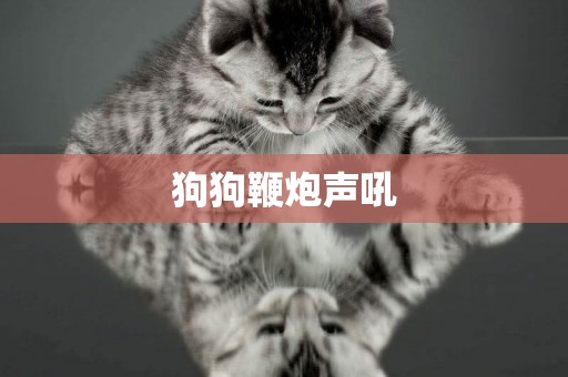 狗狗鞭炮聲吼