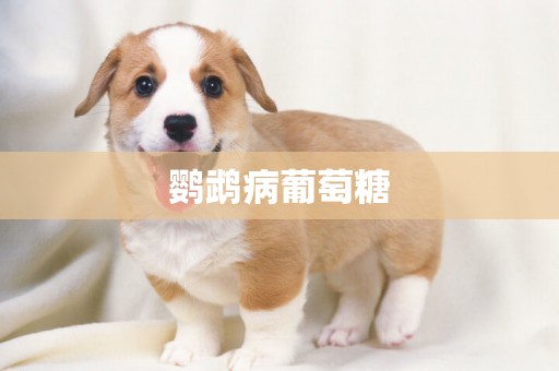 鸚鵡病葡萄糖
